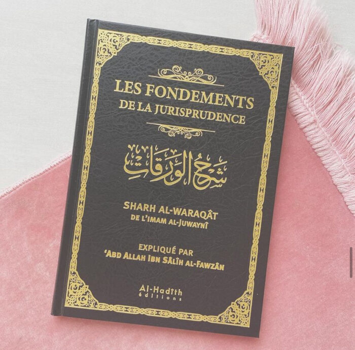Les fondements de la jurisprudence