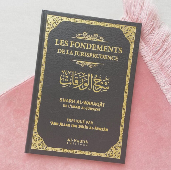 Les fondements de la jurisprudence